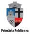 Primaria Feldioara